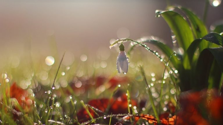 17-апрель: Көпчүлүк аймактарга жаан жаап, күн сууктайт