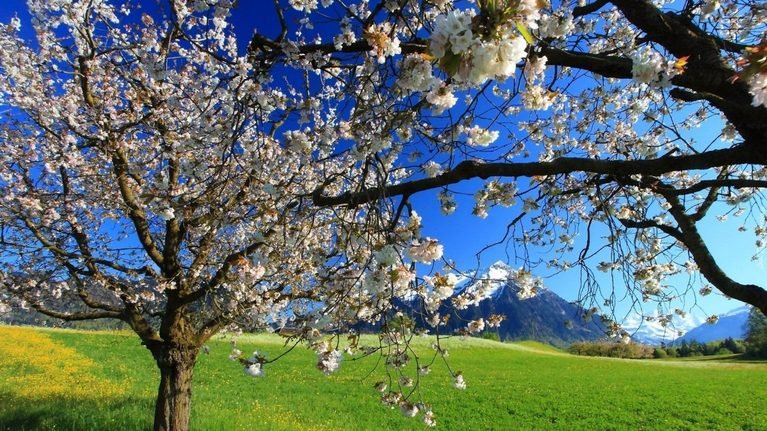 18-апрель: Өлкөнүн түштүгүнө жаан-чачын жаайт