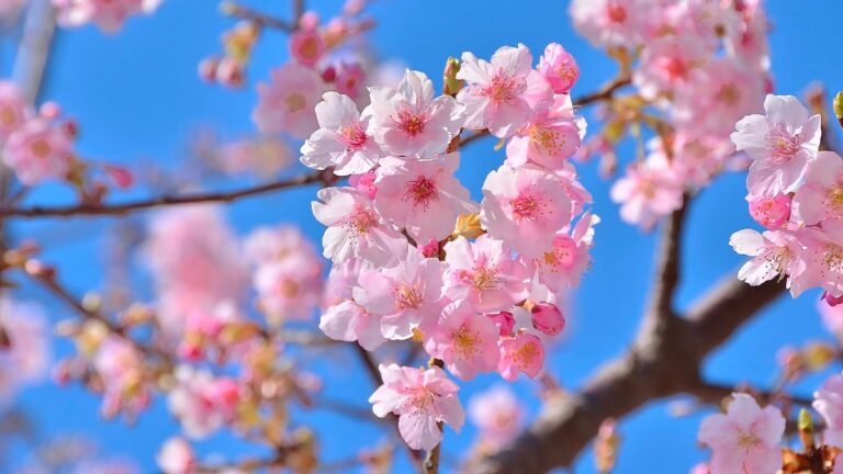 21-апрелге карата аба ырайы