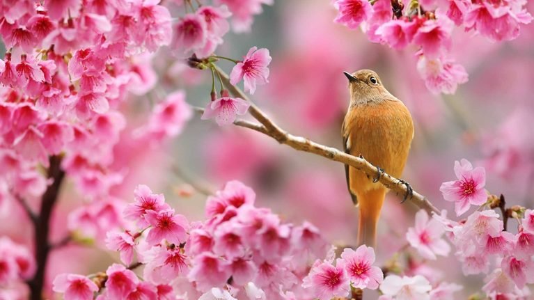 27-апрелге карата аба ырайы