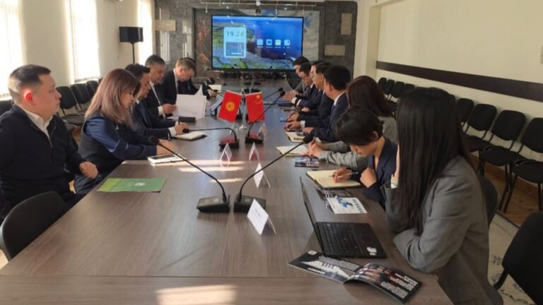 Кытайлык ишкана күн жана шамал электр станцияларын курууга 1 млрд доллар инвестиция салууга кызыкдар