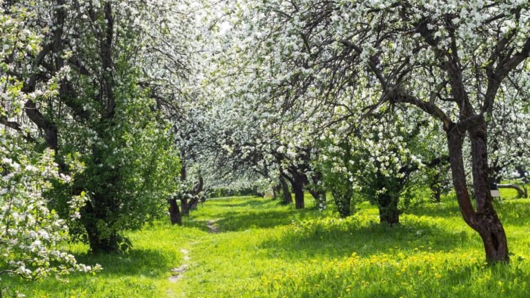 29-апрелге карата аба ырайы