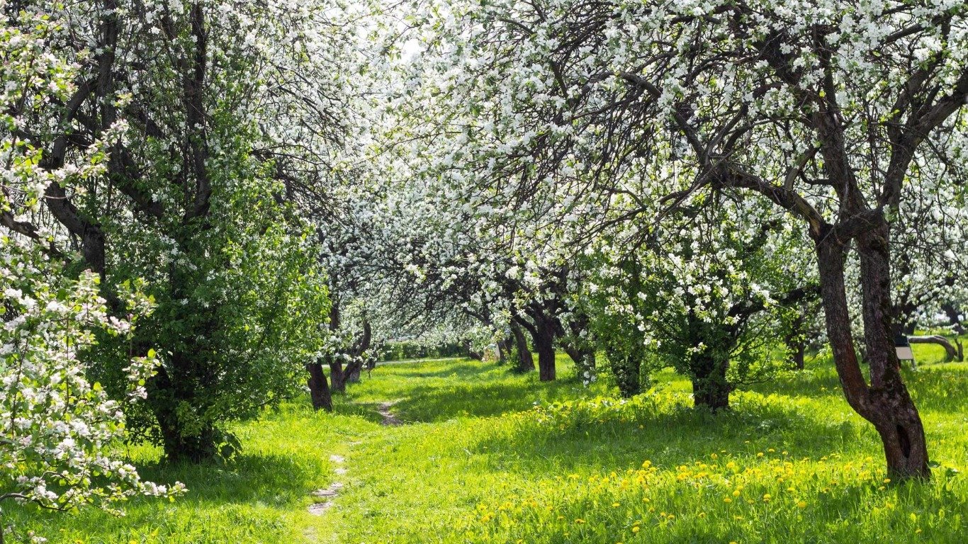 Прогноз погоды на 29 апреля