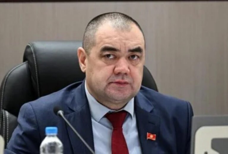 Депутат Нацстатком кызматкерлеринин айлыгын көтөрүүнү сунуштады