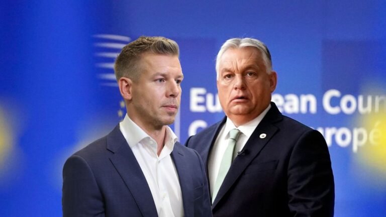 Венгриядагы шайлоо. Учурдагы премьер-министр Орбан жеңилүүгө учурады