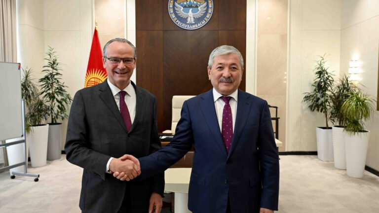 Адылбек Касымалиев Германиянын ТИМинин мамлекеттик министри Гюнтер Крихбаум менен жолугушту