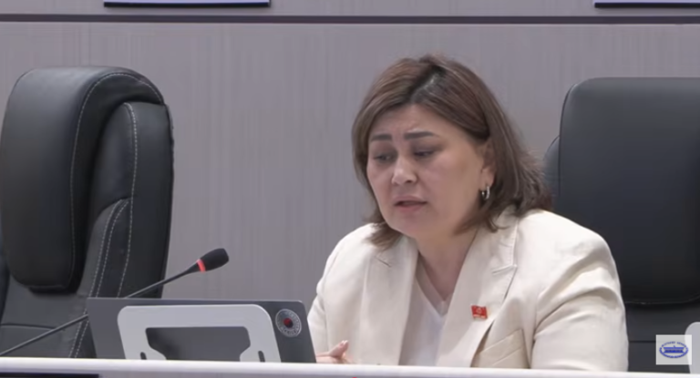 ЖКда жумушка орноштуруу менен алектенген компаниялардын ишмердүүлүгүн текшерүү сунушталды