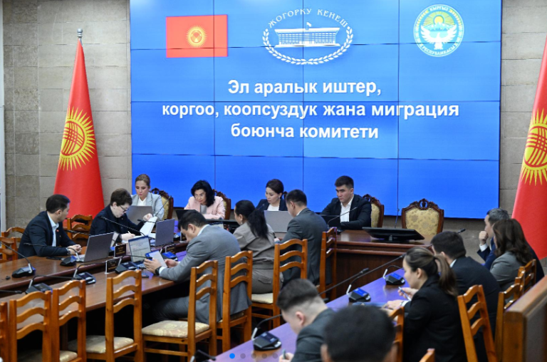 Жогорку Кеңешке Того менен инвестицияларды коргоо боюнча макулдашуу киргизилди