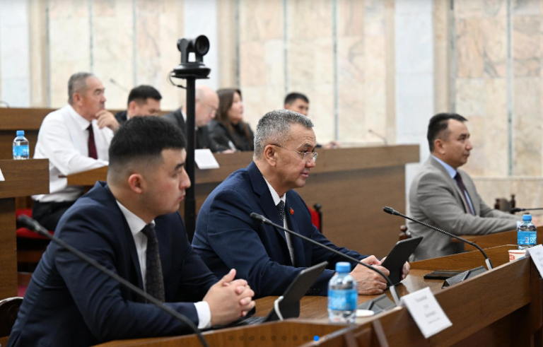 Жеке маалыматтарды бузуу үчүн айып пулдар Цифралык кодекске шайкеш келтирилет