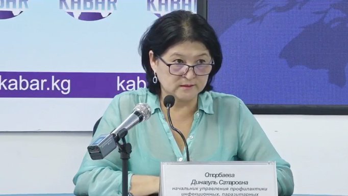 «Локдаун тууралуу сөз да болбошу керек» — эксперт хантавирустун Кыргызстан үчүн коркунучтары жөнүндө