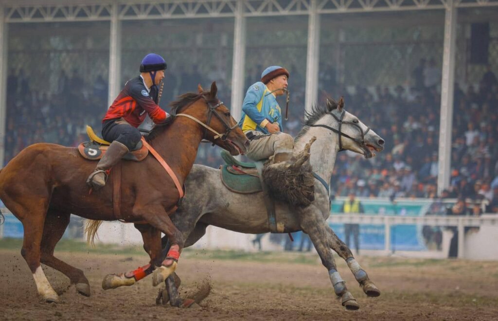 чемпионат по кок бору