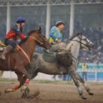 чемпионат по кок бору