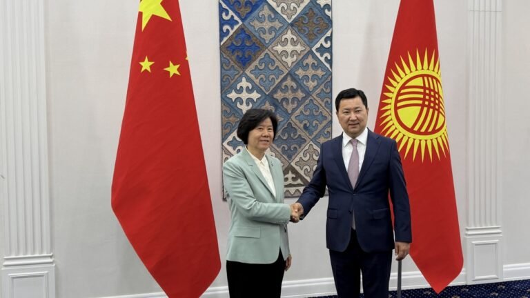 Кытай Кыргызстандын ШКУдагы төрагалыгын жана республиканын өнүгүү темпин жогору баалады