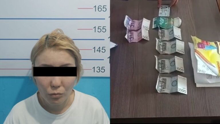 Бишкекте аял башка жаранга иш козготуу үчүн тергөөчүгө пара сунуштаган деп шектелүүдө