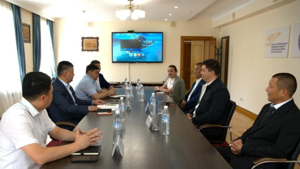 Кытайлык инвесторлор менен жолугушуу
