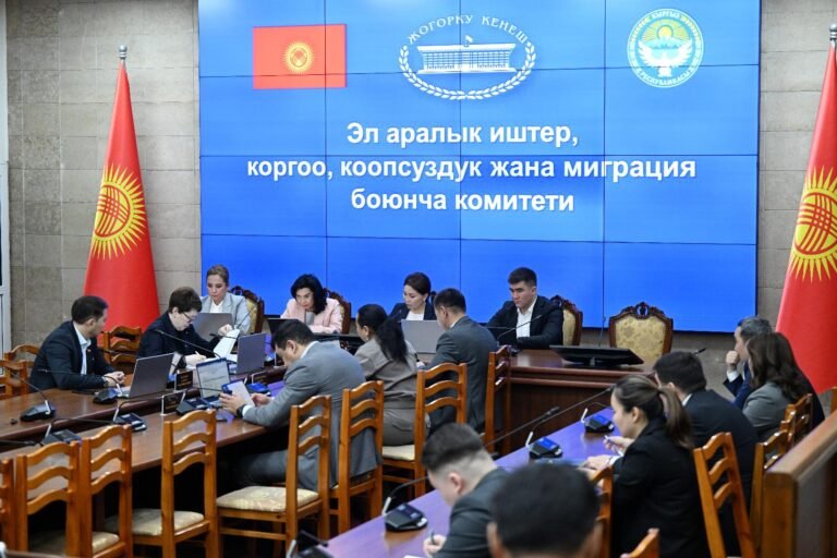 ЖК комитети Япония менен кош салык салуудан качуу боюнча макулдашууну ратификациялоону жактырды