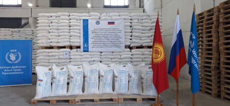 Россиядан 1 000 тоннадан ашык азык-түлүк БУУнун ДАП линиясы боюнча Кыргызстанга келди