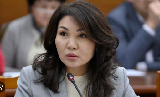 Улуттук банктын аудити үчүн $300 миң. Эмне үчүн текшерүүнү эл аралык компаниялар жүргүзөт?