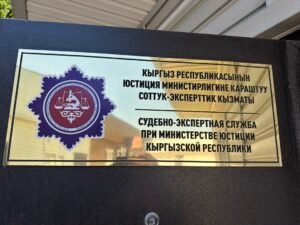 Растаможка автомобилей в Канте станет быстрее — открыт пункт экспертиз — Новости Кыргызстана