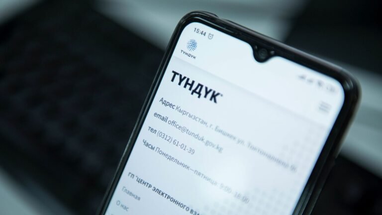 Мамлекеттик кызматтарды проактивдүү форматка өткөрүп, бюрократияны кыскартууну сунуштоодо