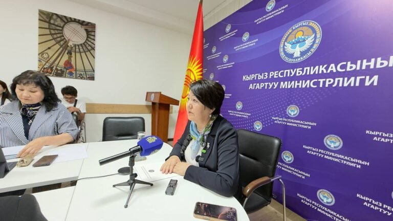 Кыргызстанда ишин жаңы баштаган мугалим да 35 миң сомго жакын айлык алат — Кендирбаева