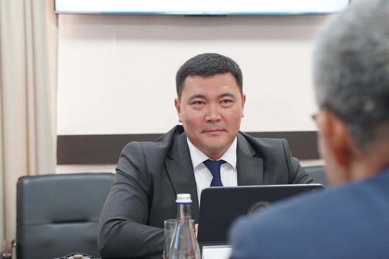 Дүйнөлүк банк Кыргызстандын климатты жана абаны коргоо боюнча долбоорлорун колдойт
