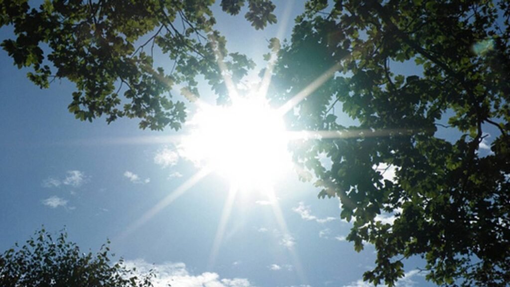 24 июня: в Кыргызстане до +35°C, жара и кратковременные дожди — Новости Кыргызстана