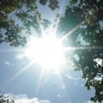24-июнь: Кыргызстанда +35°Cге чейин ысып, өткүн өтөт — Новости Кыргызстана