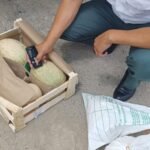 В Баткене уровень нитратов в арбузах и дынях не превысил норму — Новости Кыргызстана