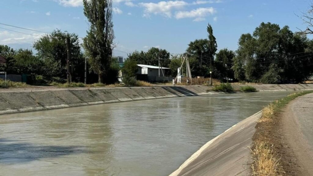 Чоң Чүй каналына унаа түшүп кетип, атасы эки баласы менен каза болду — Новости Кыргызстана