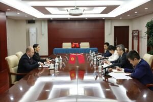 Кыргызстан менен Кытай балдардын жүрөгүнө операция жасоо боюнча долбоорду ишке киргизишет — Новости Кыргызстана