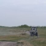 Кыргызстанда 56 миң гектар аянтта чегиртке зыянкечтерине каршы күрөшүү иштери аяктады — Новости Кыргызстана
