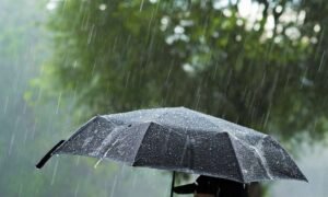 4-июль: Кыргызстанда абанын температурасы +30°Cге чейин жетип, жаан жаайт жана күн күркүрөйт — Новости Кыргызстана