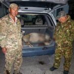 Баткен облусунда браконьер мыйзамсыз аңчылык кылганы үчүн 62 миң сом айыпка жыгылды — Новости Кыргызстана
