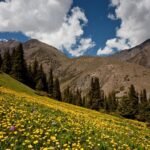 6-июль: Кыргызстанда +36°C чейин ысыйт, тоолуу райондордо жаан жаап, күн күркүрөйт — Новости Кыргызстана