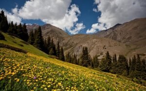 6-июль: Кыргызстанда +36°C чейин ысыйт, тоолуу райондордо жаан жаап, күн күркүрөйт — Новости Кыргызстана