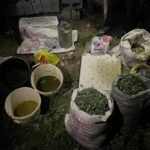 ИИМ жашыруун баңгизат лабораториясынын ишмердүүлүгүнө бөгөт койду — Новости Кыргызстана