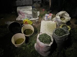 ИИМ жашыруун баңгизат лабораториясынын ишмердүүлүгүнө бөгөт койду — Новости Кыргызстана