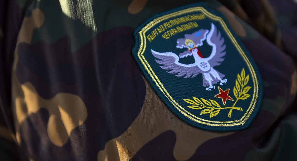 Чек ара кызматынын аскер кызматкери контрабандага шектелип кармалды — Новости Кыргызстана