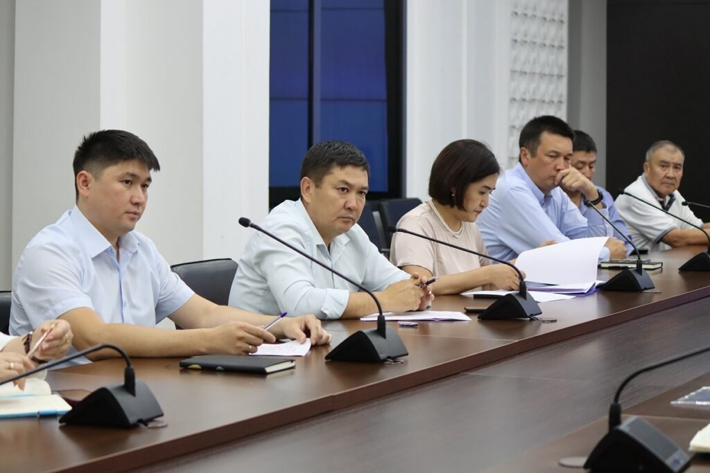 Кыргызстанда фармацевтикалык өндүрүүчүлөрдү 3%дан баштап жеңилдетилген насыялоо ишке киргизилди