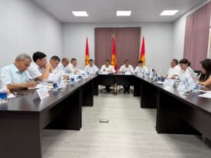 Ишкердикти өнүктүрүү фонду микрофинансылык компанияга айландырылат — Новости Кыргызстана