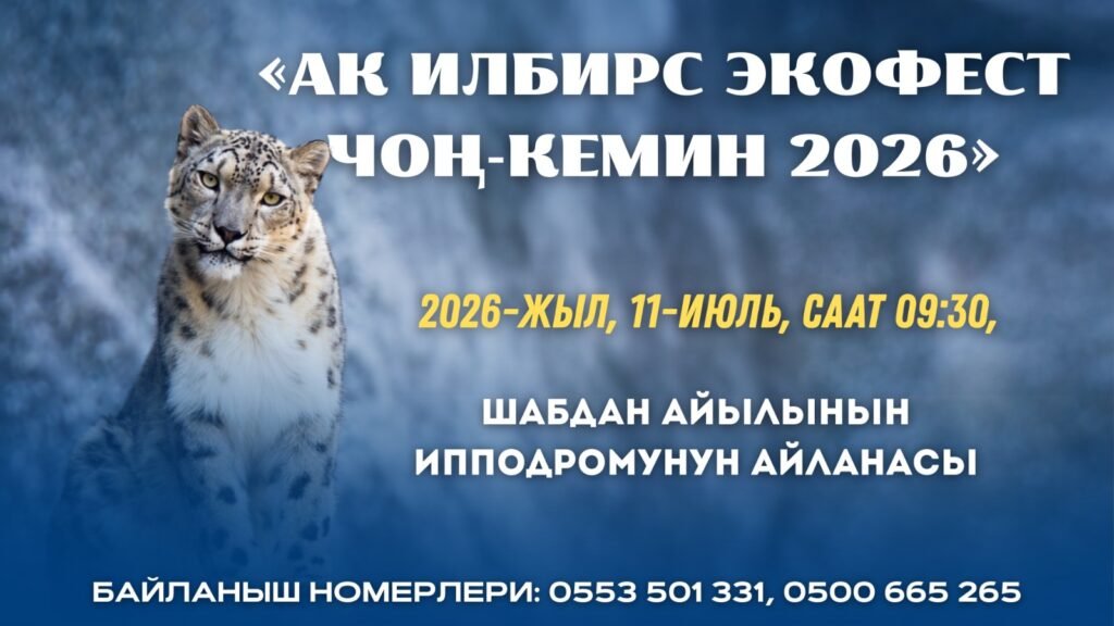 Чоң-Кеминде ак илбирсти коргоого арналган экологиялык фестиваль өтөт