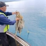 Жыл башынан бери Ысык-Көлдөн дээрлик 35 чакырым браконьердик тор чыгарылды — Новости Кыргызстана
