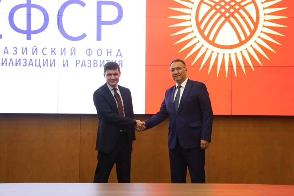 Кыргызстан и Евразийский фонд развития расширят сотрудничество в энергетике — фото 4