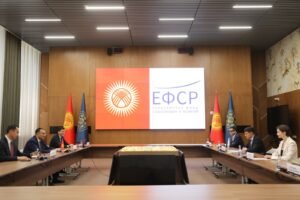 Кыргызстан и Евразийский фонд развития расширят сотрудничество в энергетике — Новости Кыргызстана