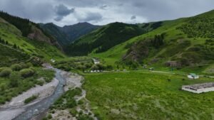 Нарын коругундагы марал багуучу жайдын аймагы 82 гектарга чейин кеңейтилди — Новости Кыргызстана