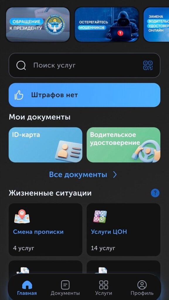 Садыр Жапаровго «Түндүк» тиркемеси аркылуу кайрылууга болот — иллюстрация