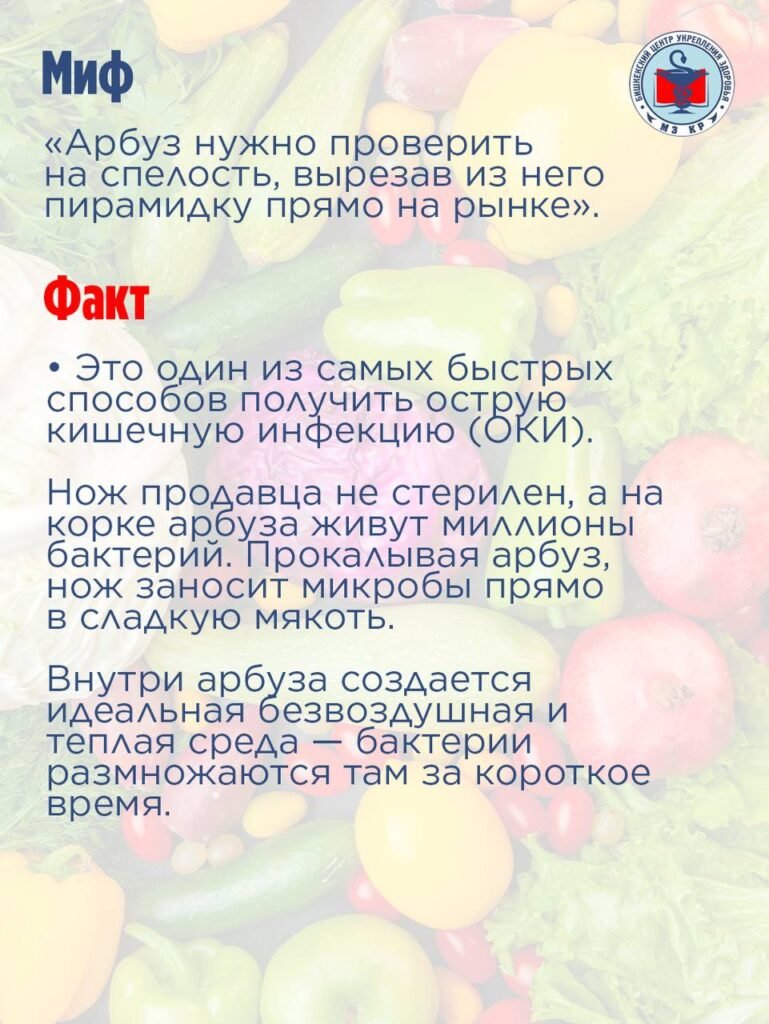 Жайкы тамак-ашка уулануулар: Кыргызстанда анын алдын алуу чаралары эскертилди — контекст события