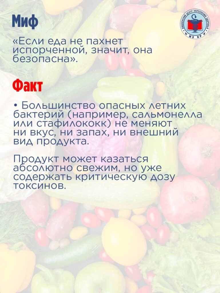 Жайкы тамак-ашка уулануулар: Кыргызстанда анын алдын алуу чаралары эскертилди — фото 4