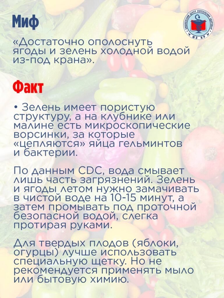 Летние пищевые отравления: в Кыргызстане напомнили о профилактике — фото 6